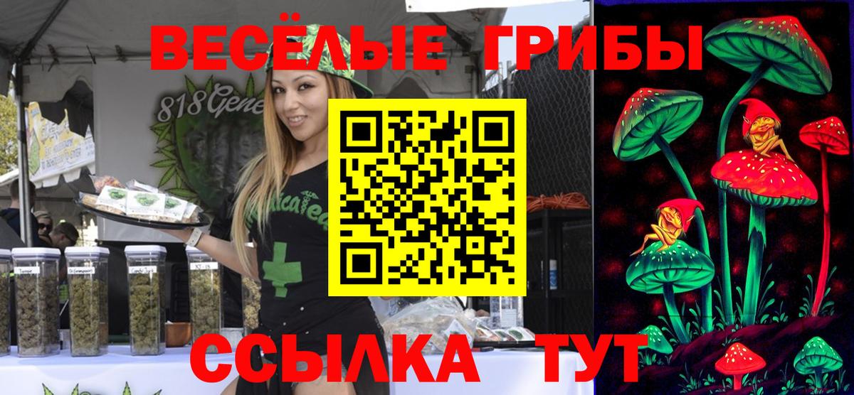 Псилоцибиновые грибы GOLDEN TEACHER Хасавюрт