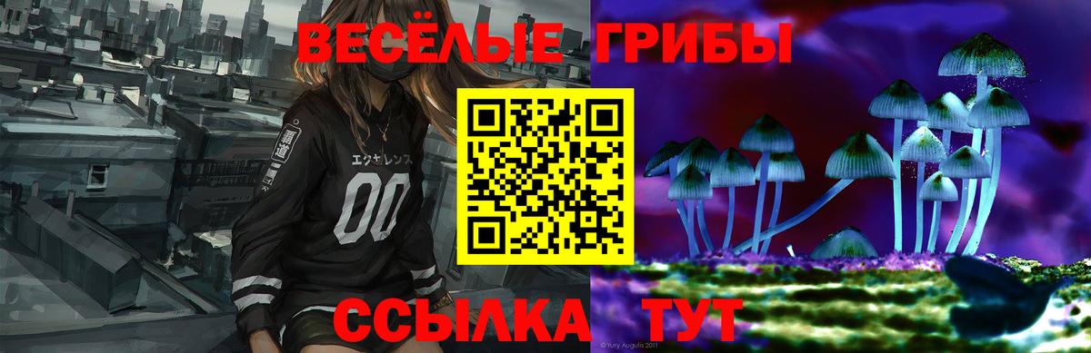 Галлюциногенные грибы Psilocybe  Вход с VPN  Хасавюрт 